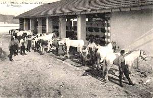 CA de- 013- Casernes des Chasseurs- Bd Andrieux